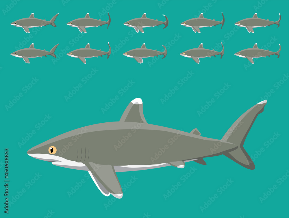 Animal Animation Sequence Oceanic Whitetip Shark Cartoon Vector