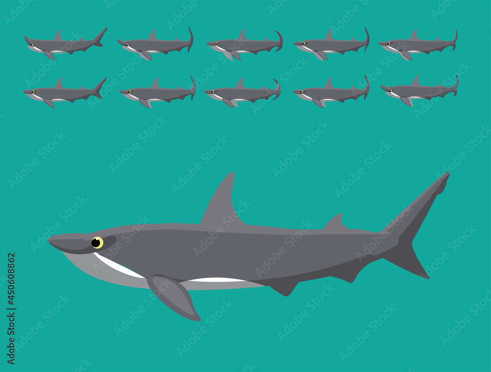 Obraz premium Animal Animation Sequence Hammerhead Shark Cartoon Vector