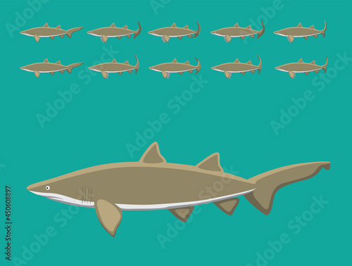 Animal Animation Sequence Sandtiger Shark Cartoon Vector
