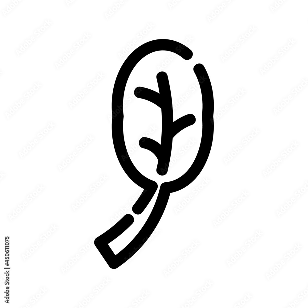 spinach icon or logo isolated sign symbol vector illustration - high quality black style vector icons
spinach icon or logo isolated sign symbol vector illustration - high quality black style vector icons