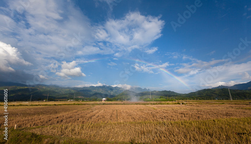 Fotografie Ricefield after havest season