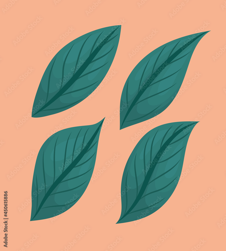 Fototapeta premium four green leaves