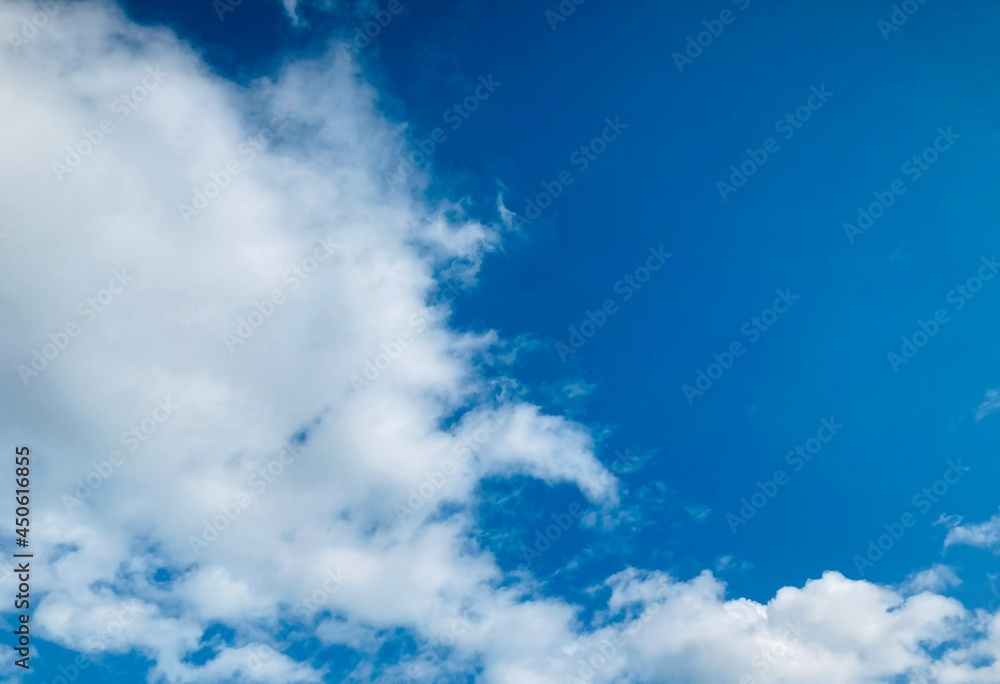 Obraz premium 夏の空
