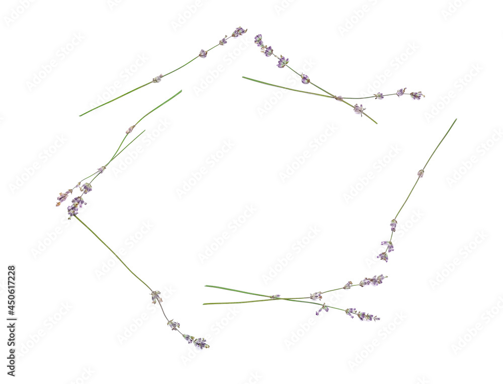 Frame made of beautiful lavender flowers on white background Frame made of beautiful lavender flowers on white background