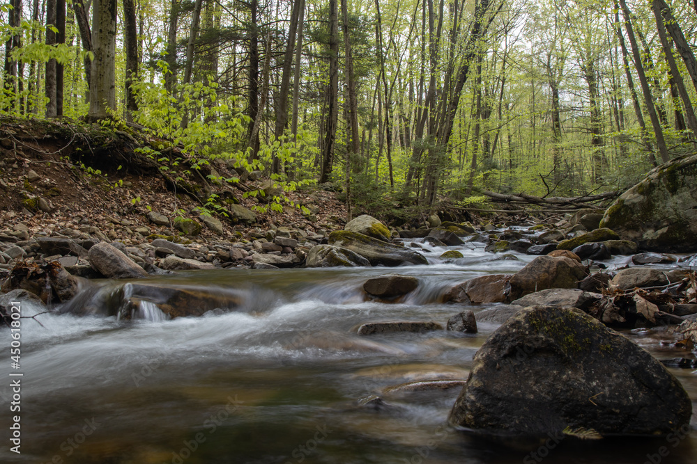 A smooth creek water running in the forrest