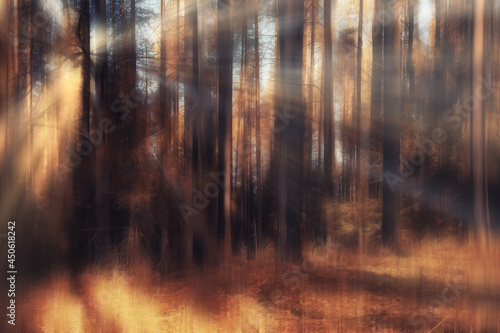 blurred background autumn nature landscape, abstract blur bokeh view of fall trees © kichigin19