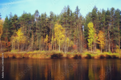 scenic, autumn landscape trees and forest river and lake, nature view fall background