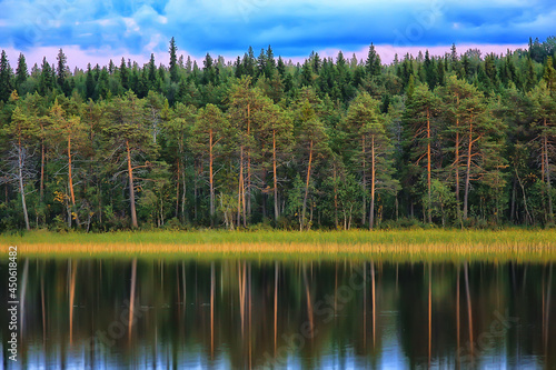 summer landscape in forest background panorama nature summer season landscape trees