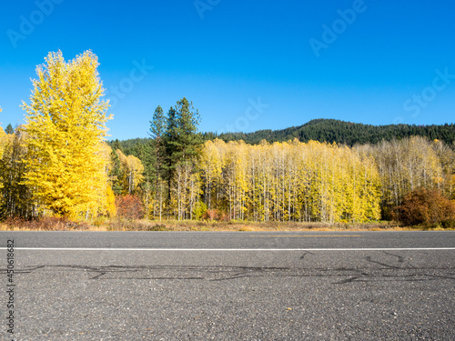 Fall foliage along US highway 2 in Cascade Mountains - Washington state, USA photo