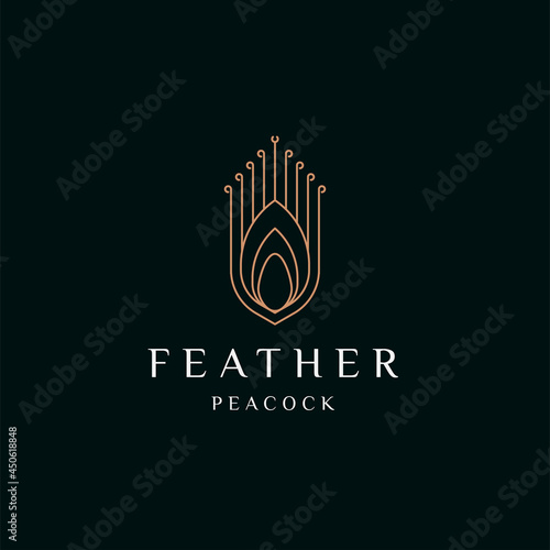 Peacock feather elegant gold logo icon design template flat vector illustration