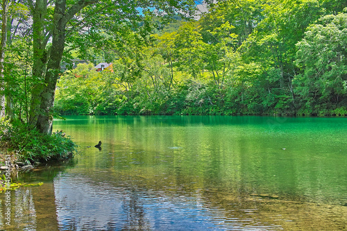 蔵王高原の風景（山形蔵王）