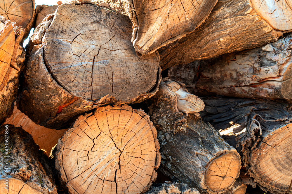 Naklejka premium Natural wooden background - closeup of chopped firewood. Logs cut stacked