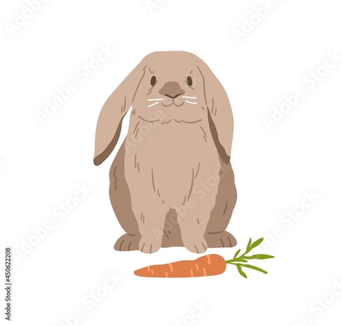 Cute lop rabbit. Happy bunny sitting near carrot. Domestic animal with fluffy fur. Adorable fuzzy coney pet. Flap-eared breed of rodent. Realistic flat vector illustration isolated on white background