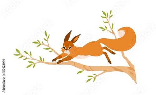 Cute small squirrel jumping on tree branch. Happy forest rodent with bushy tail on sprig. Adorable funny wild animal on twig. Flat vector illustration isolated on white background © Good Studio