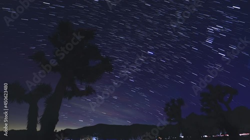 Wallpaper Mural Startrails Joshua Tree Red Rock Canyon Mojave Desert California USA California USA Astrophotography Time Lapse Torontodigital.ca