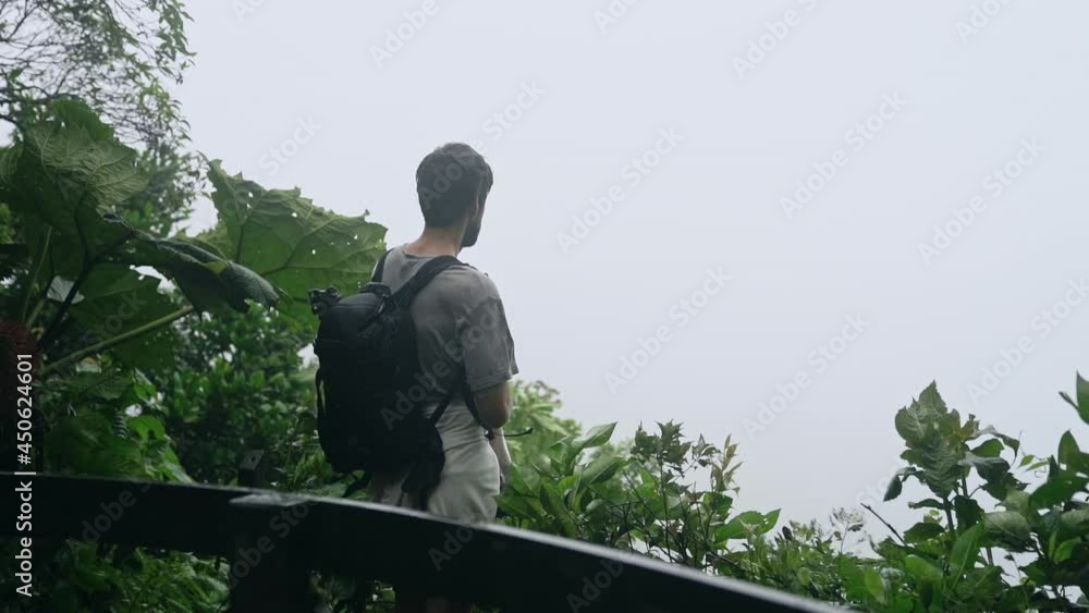 Man stands on edge of rain forest overlooking fog on windy stormy day Man stands on edge of rain forest overlooking fog on windy stormy day