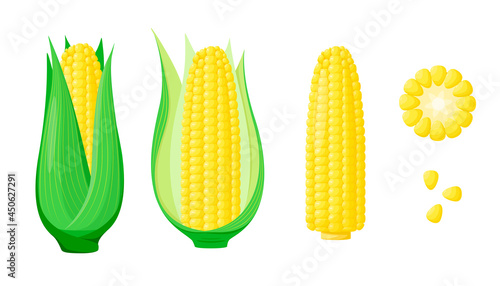 A set of corn on a white background. Cartoon design of vegetables.