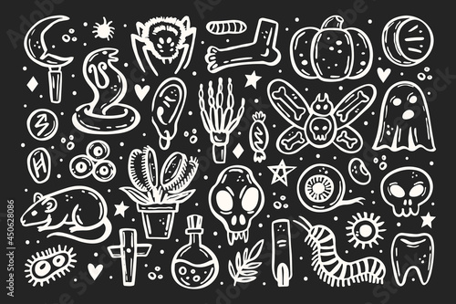 Halloween elements illustration. Skull, druid knife, insect, ghost, rat, poison, eye, pumpkin, bone, cross, spider, rune, tooth, herb, death, danger. Isolated on dark background.