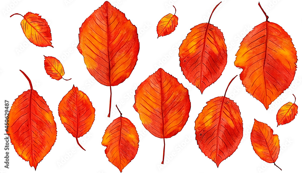 Obraz premium hand drawn watercolor illustration autumn leaves