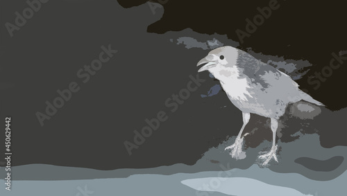 City bird crow. Illustration
