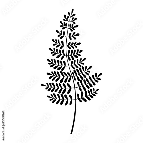 Fern silhouette vector illustration. Forest greenery background