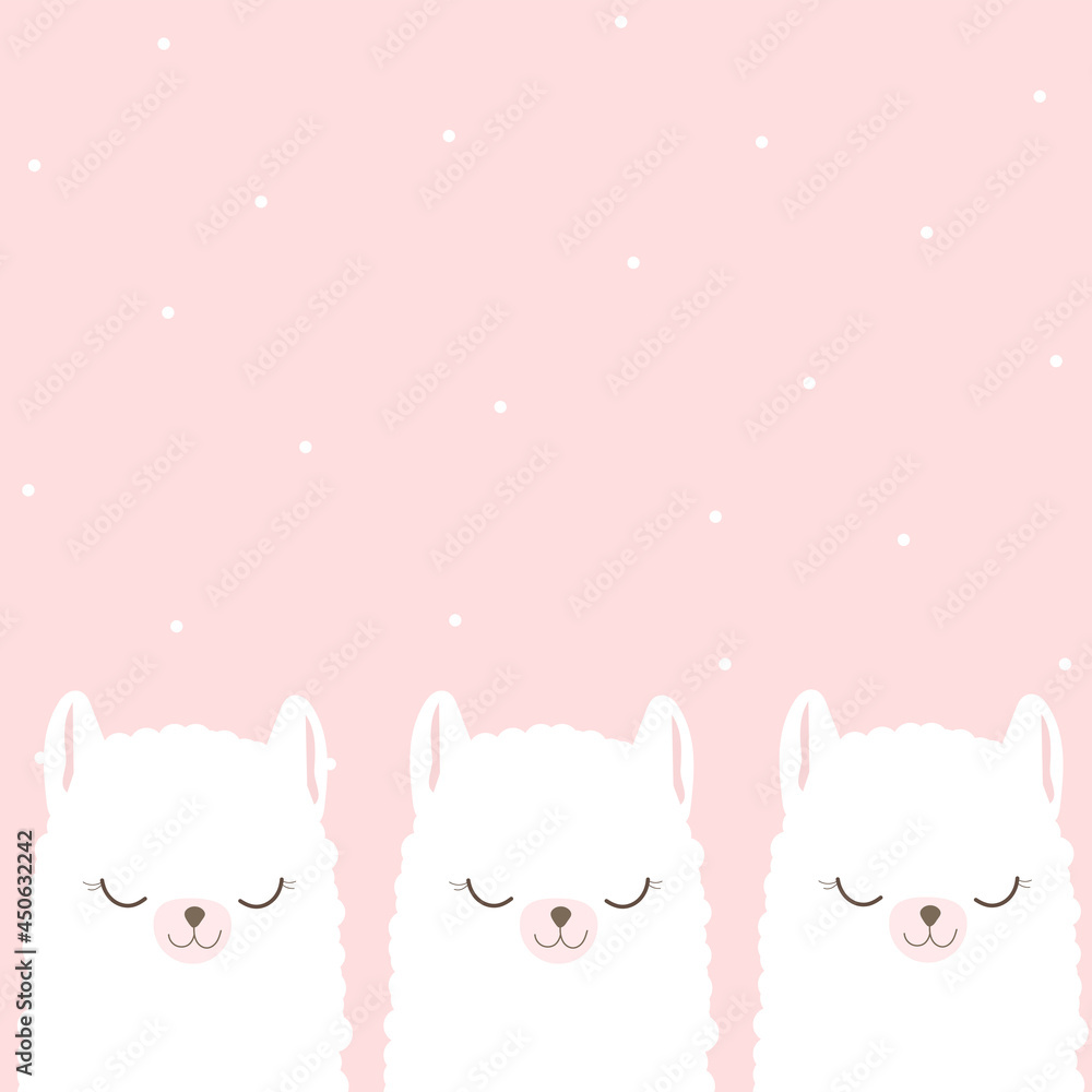 Cute lama face Cute lama face