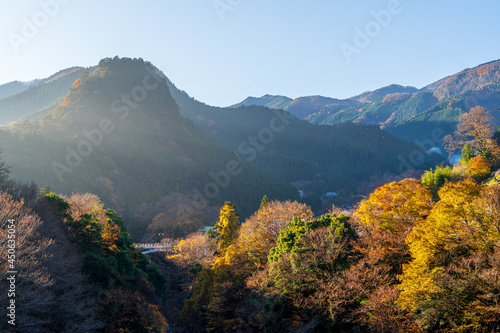 【東京都】奥多摩の紅葉風景 