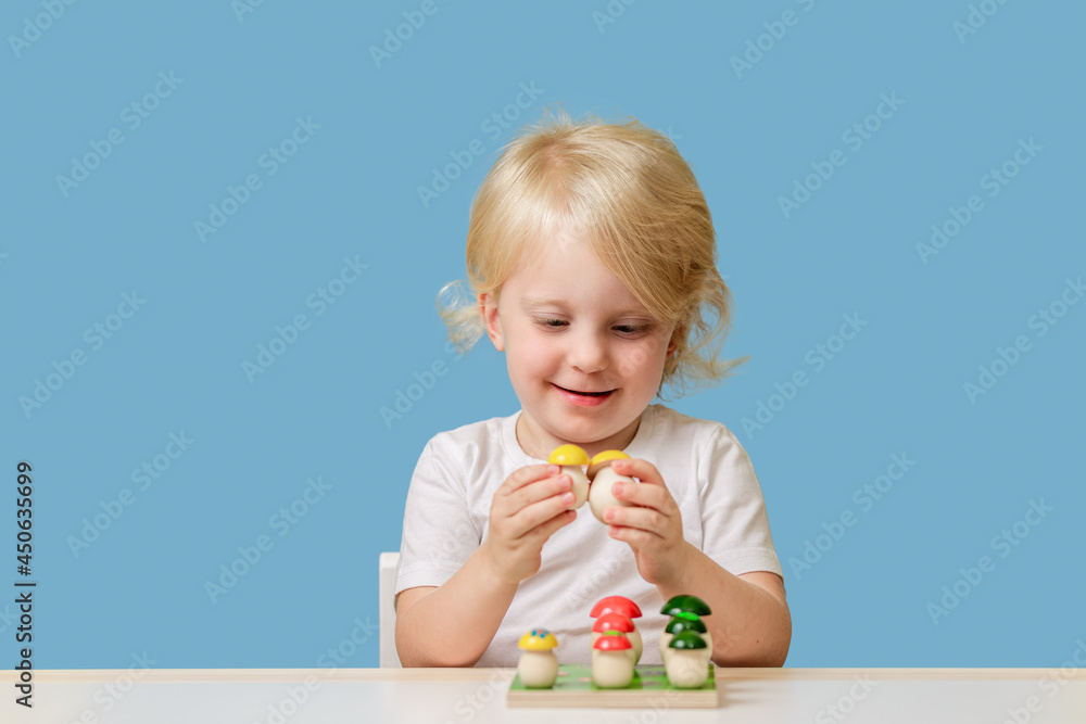 Kid girl 2-3 years old plays with educational wooden sorter toy indoor. Copyspace. Kid girl 2-3 years old plays with educational wooden sorter toy indoor. Copyspace.