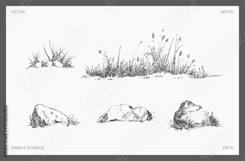 High detail drawn vector grass and stones sketch