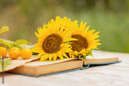 beautiful yellow sunflower flowers on an open book on a table in the garden
