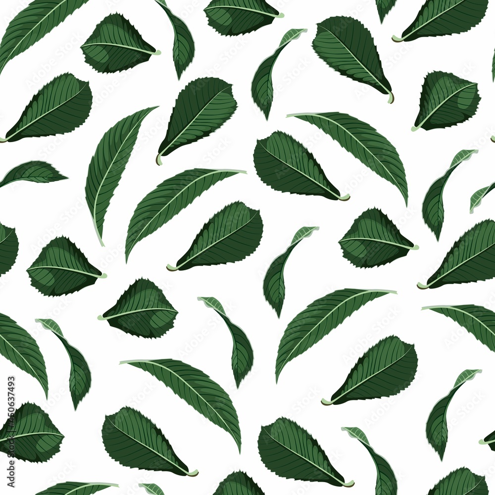Exotic darkt green leaves seamless pattern on white background.	