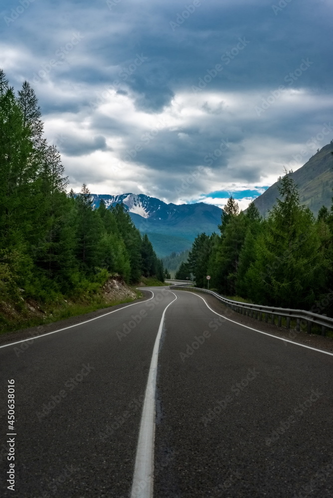 Asphalt highway among the spruce forest leading to the mountains in the Altai Mountains