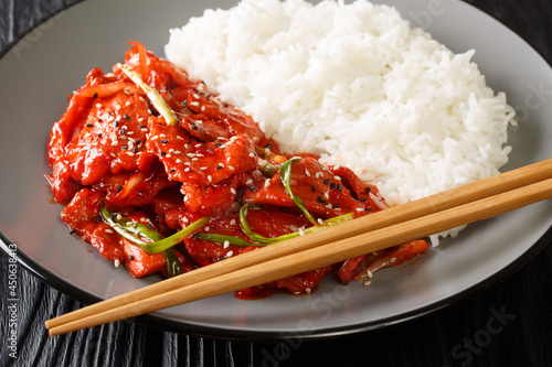 Jeyuk Bokkeum Korean Spicy Pork Stir-Fry with rice close-up in a plate on the table. Horizontal photo