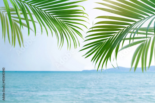 Blurred palm leave over sea view background, tropical palm tree with copy space, summer background for mockup backdrop