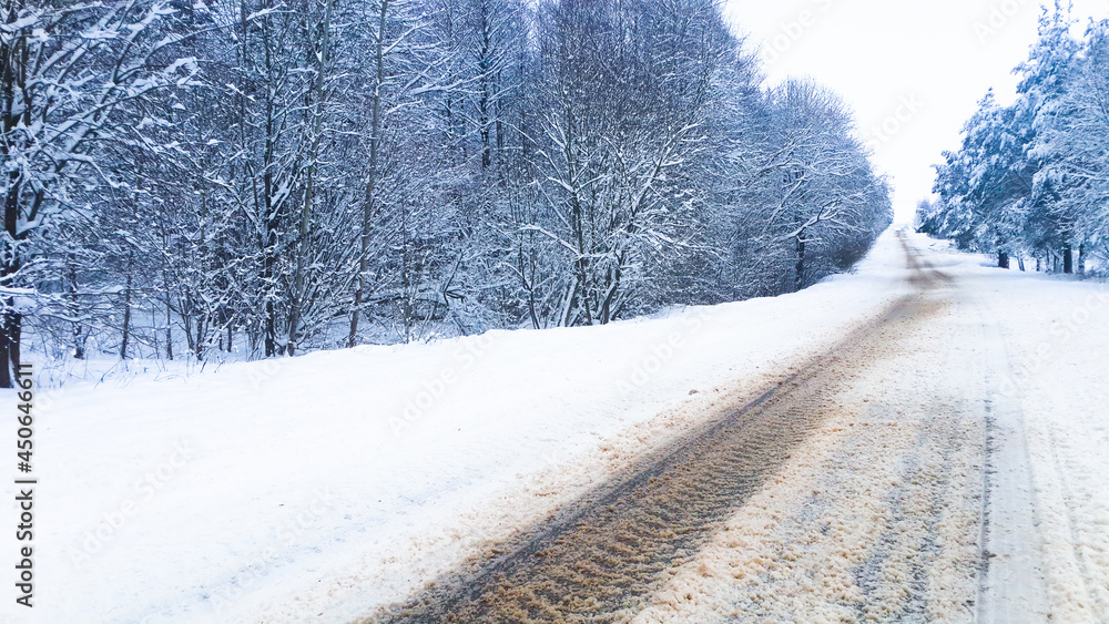 Obraz premium winter panorama in the Russian forest close up 