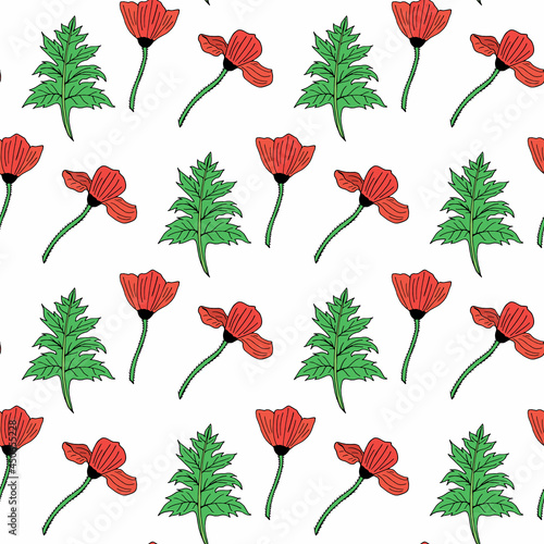 Seamless pattern with poppies and leaves on white background. Vector image.