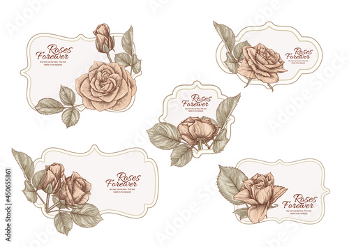 Set of labels, stickers for food products or cosmetics in engraving, vintage, old, retro shabby chic style.. Stock vector illustration.
