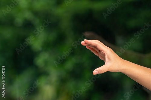 Man Hand over blur nature background, Hand holding object with fingers over blur nature background with empty space. © MERCURY studio
