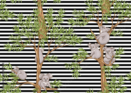 Koala bear seamless pattern. Colored vector illustration. On black-and-white stripes background