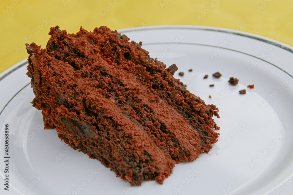 Delicioso trozo de tarta de chocolate. Un trozo de bizcocho de chocolate suave y esponjoso, listo para comer. Delicioso trozo de tarta de chocolate. Un trozo de bizcocho de chocolate suave y esponjoso, listo para comer.