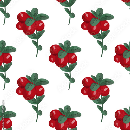 Seamless vector pattern with cranberries. Bright summer background. North Berries.