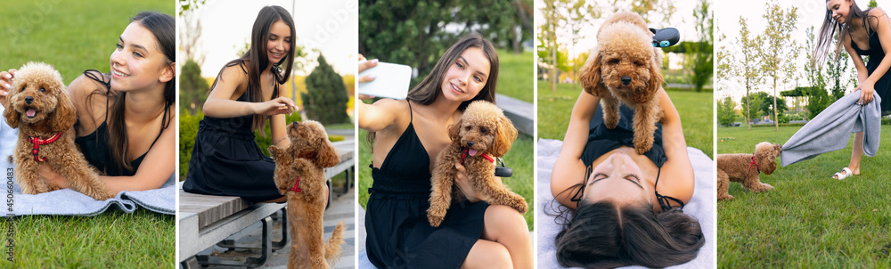 Young girl strolling with little golden poodle dog in public park, outdoors. Summer time. Sincere emotions. Leisure activities, healthy lifestyle concept Young girl strolling with little golden poodle dog in public park, outdoors. Summer time. Sincere emotions. Leisure activities, healthy lifestyle concept