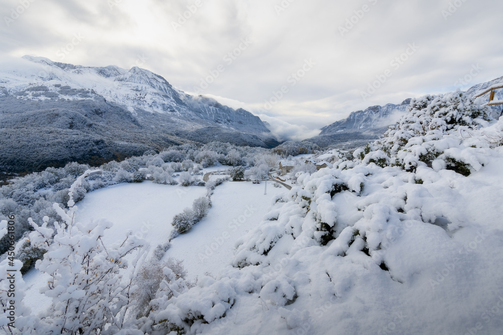 mountain landscape with trees in forest in snowy winter with fog and low clouds, Pyrenees, national park, Spain.