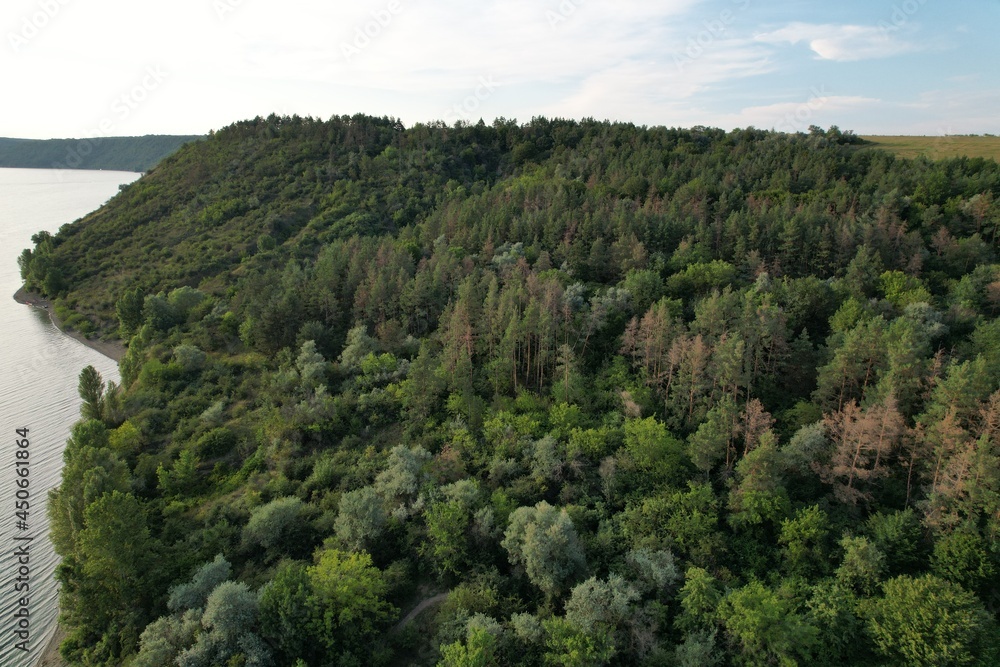 Aerial panoramic view of huge river, green pine forest near the river. Summer morning. Panoramic landscape. Aerial panoramic view of huge river, green pine forest near the river. Summer morning. Panoramic landscape.