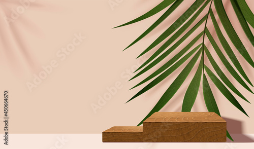 Natural fashion wooden podium scene