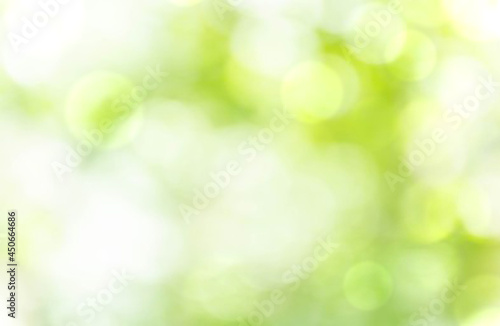 Green blur bokeh background