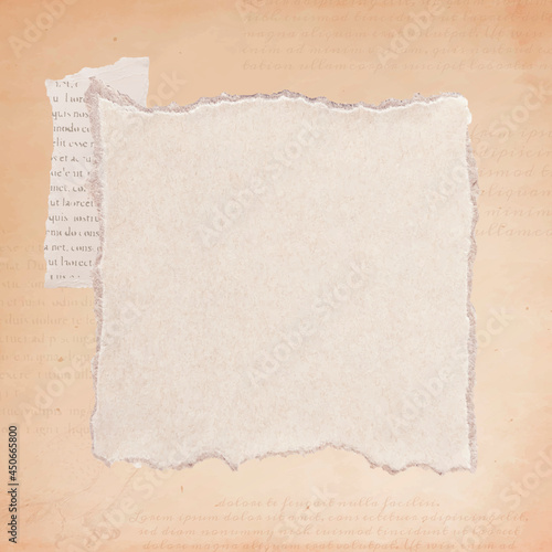 Torn old beige paper background vector