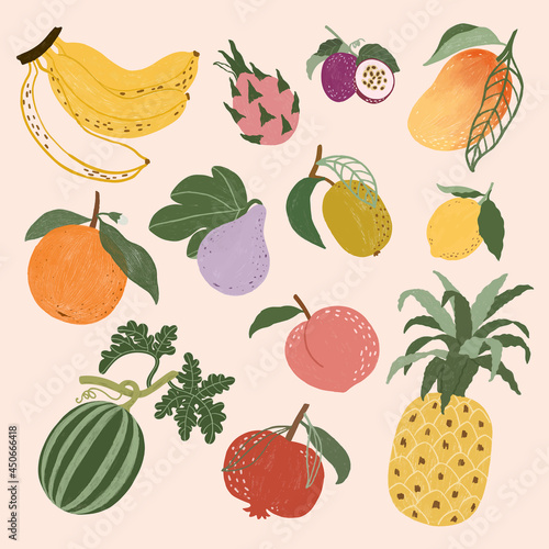 Hand drawn fruits design resource pack vector