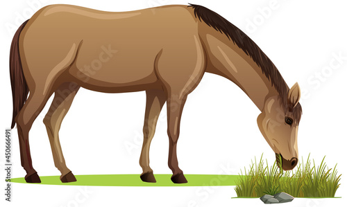 A horse eating grass in cartoon style isolated