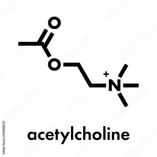 Acetylchloline (ACh) neurotransmitter molecule. Skeletal formula.